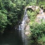 WhatsApp Image 2024-09-09 at 2.31.42 PM